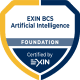 Artificial Intelligence (AI) Foundation (incl. examen)